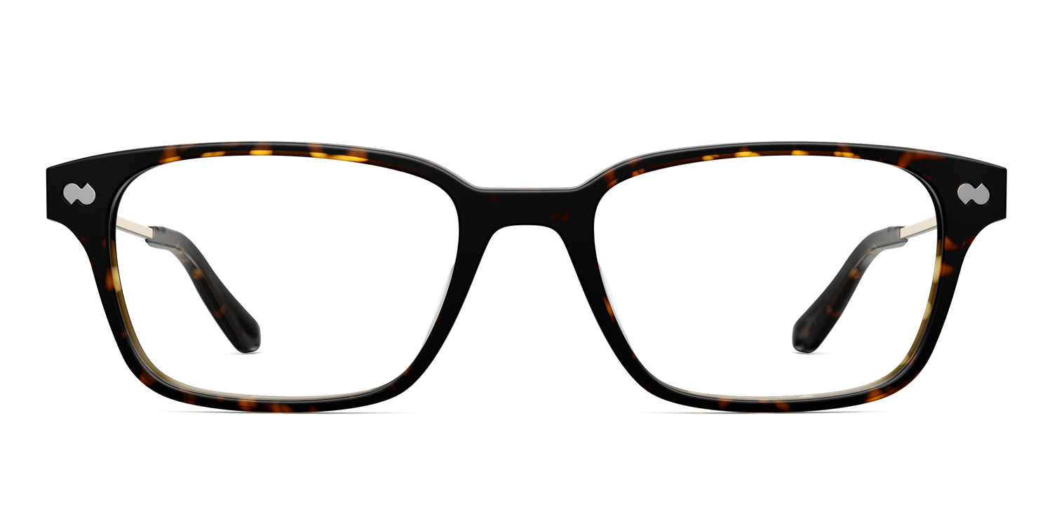 The Finley - Tortoise Acetate Gold Metal - Carousel2 - Pair Eyewear