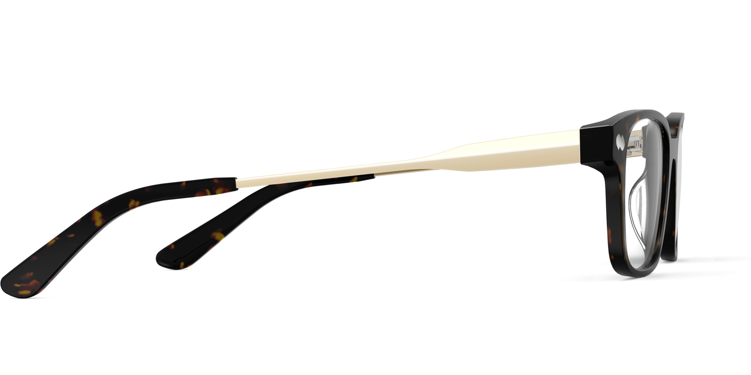 The Finley - Tortoise Acetate Gold Metal - Carousel3 - Pair Eyewear