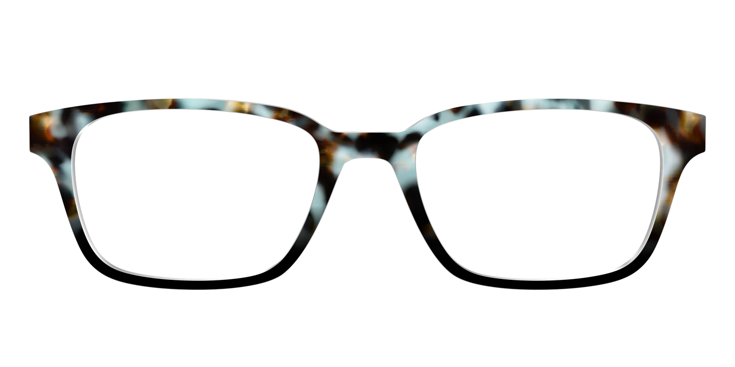 The Academic Tortoise - Front Top Image - Pair Eyewear