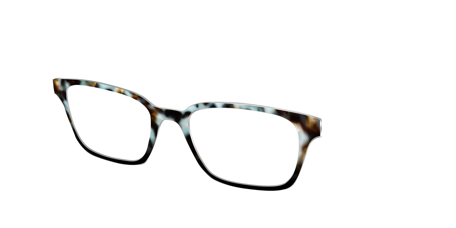 The Academic Tortoise - Angle Top Image - Pair Eyewear