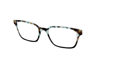 The Academic Tortoise - Angle Top Thumbnail - Pair Eyewear