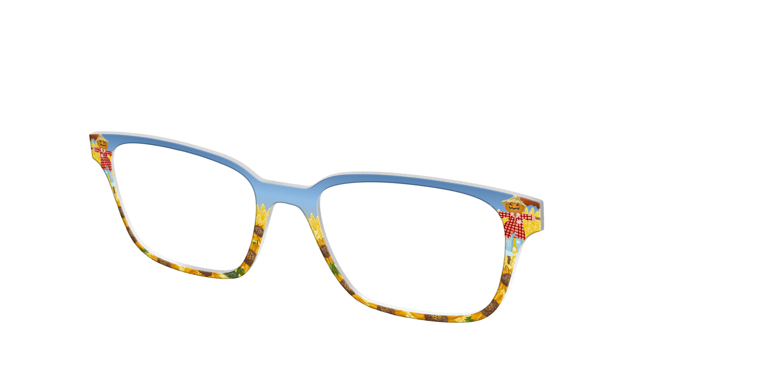 The Joyful Scarecrow - Angle Top Image - Pair Eyewear