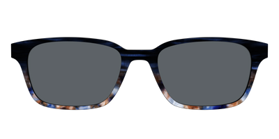 The Polarized Blue Horn Tortoise Sun Top - Front Top Thumbnail - Pair Eyewear