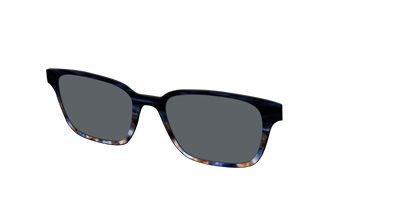The Polarized Blue Horn Tortoise Sun Top - Angle Top Thumbnail - Pair Eyewear
