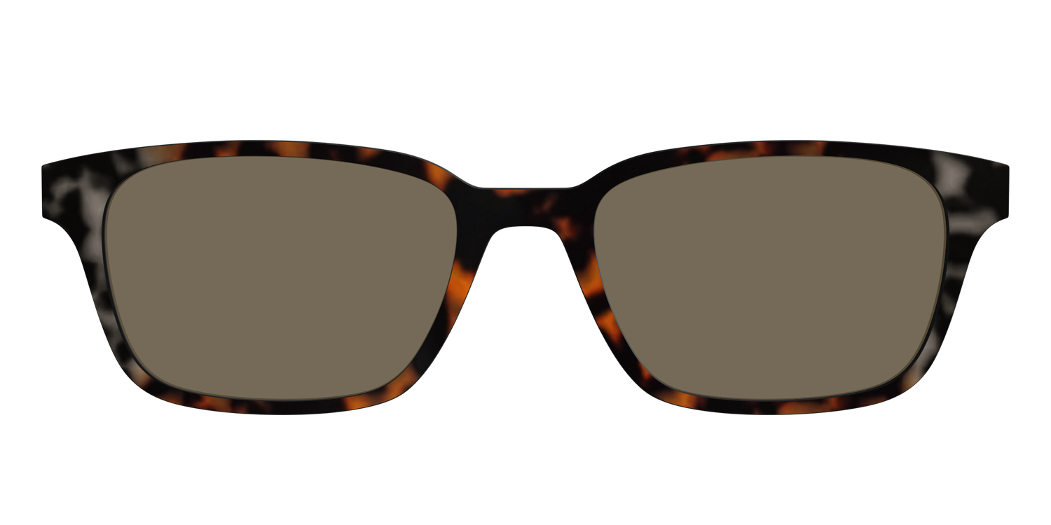 The Polarized Gray & Amber Tortoise Sun Top - Front Top Image - Pair Eyewear