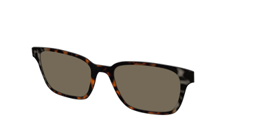 The Polarized Gray & Amber Tortoise Sun Top - Angle Top Thumbnail - Pair Eyewear