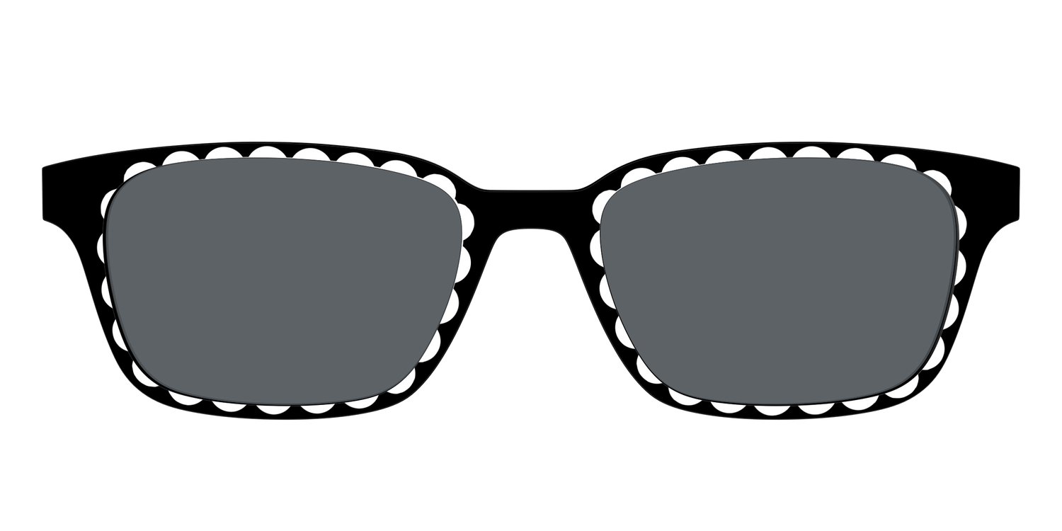 The Polarized Stylish Daisy Sun Top - Front Top Image - Pair Eyewear