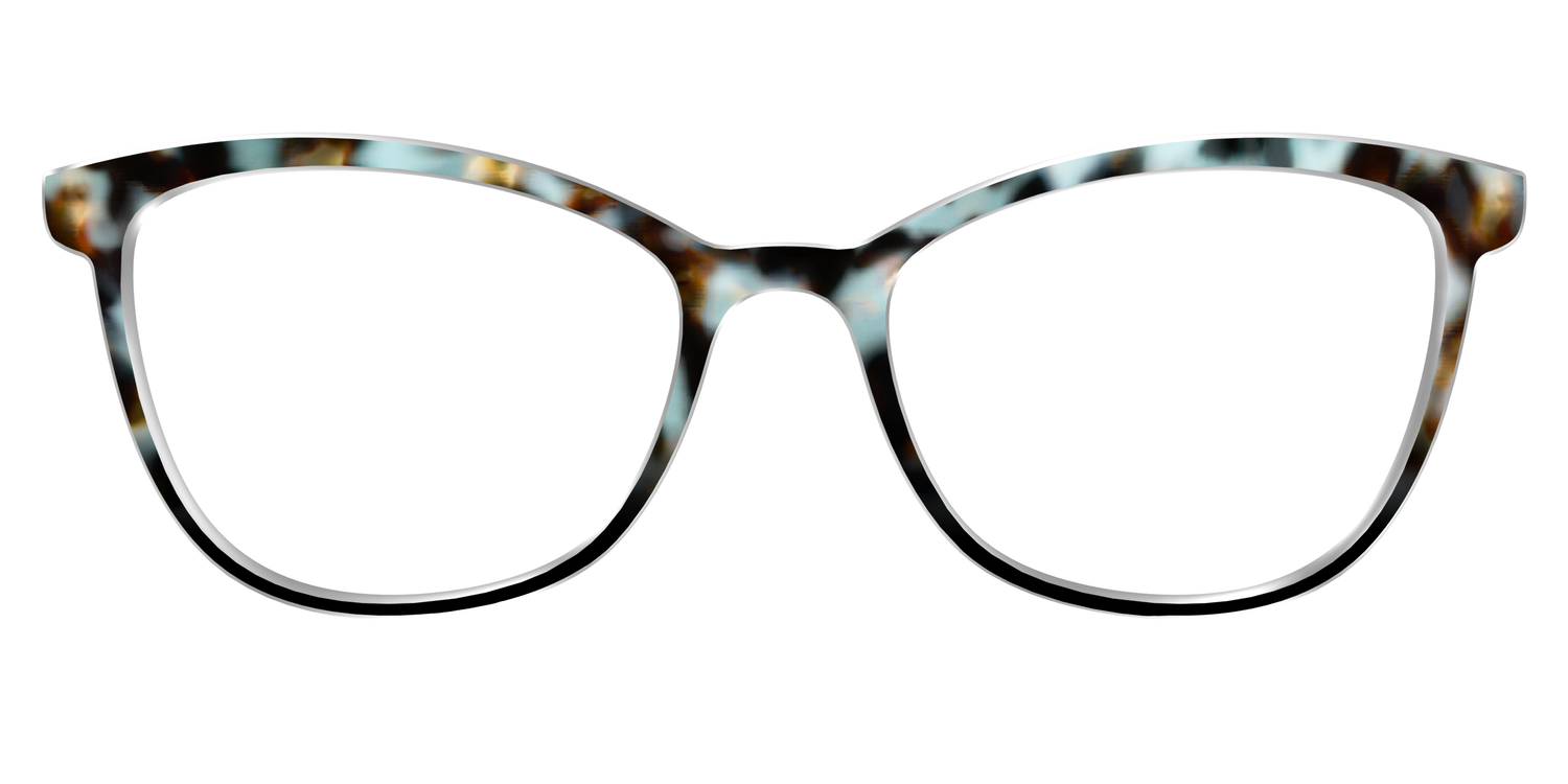 The Academic Tortoise - Front Top Image - Pair Eyewear