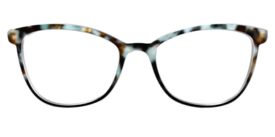 The Academic Tortoise - Front Top Thumbnail - Pair Eyewear
