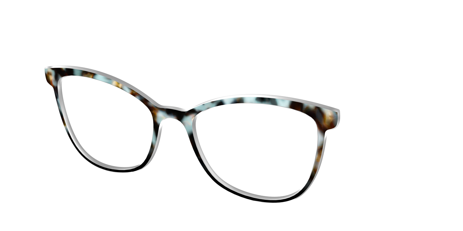 The Academic Tortoise - Angle Top Image - Pair Eyewear