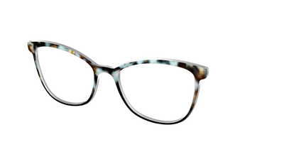 The Academic Tortoise - Angle Top Thumbnail - Pair Eyewear