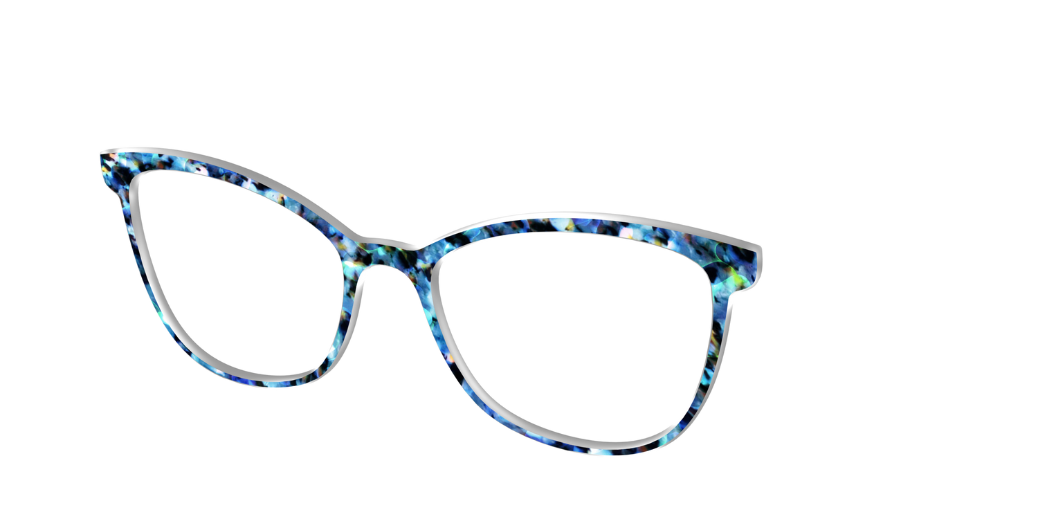 The Freshwater Tortoise - Angle Top Image - Pair Eyewear