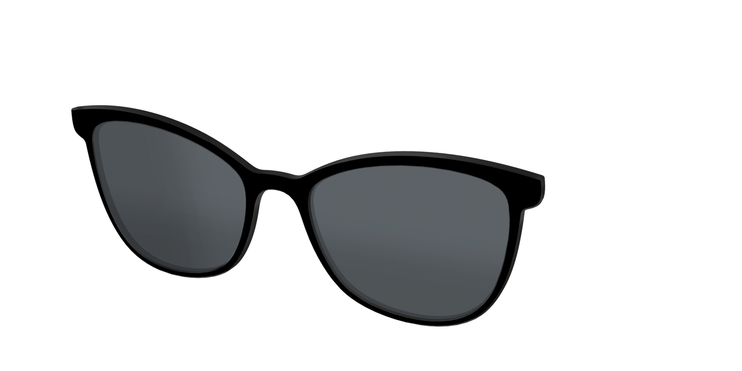 The Non-Polarized Black Sun Top - Angle Top Image - Pair Eyewear
