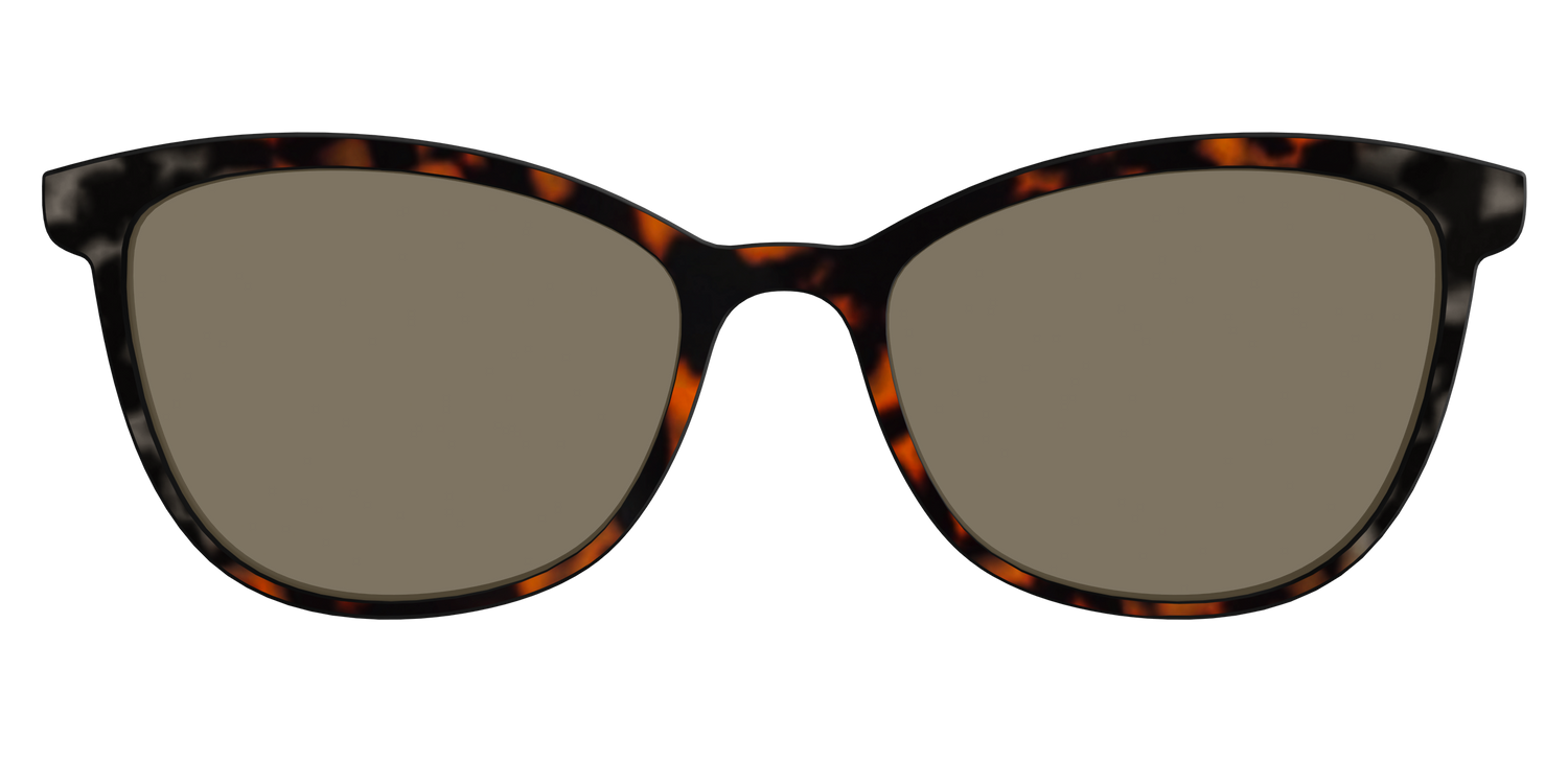 The Polarized Gray & Amber Tortoise Sun Top - Front Top Image - Pair Eyewear