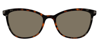 The Polarized Gray & Amber Tortoise Sun Top - Front Top Thumbnail - Pair Eyewear