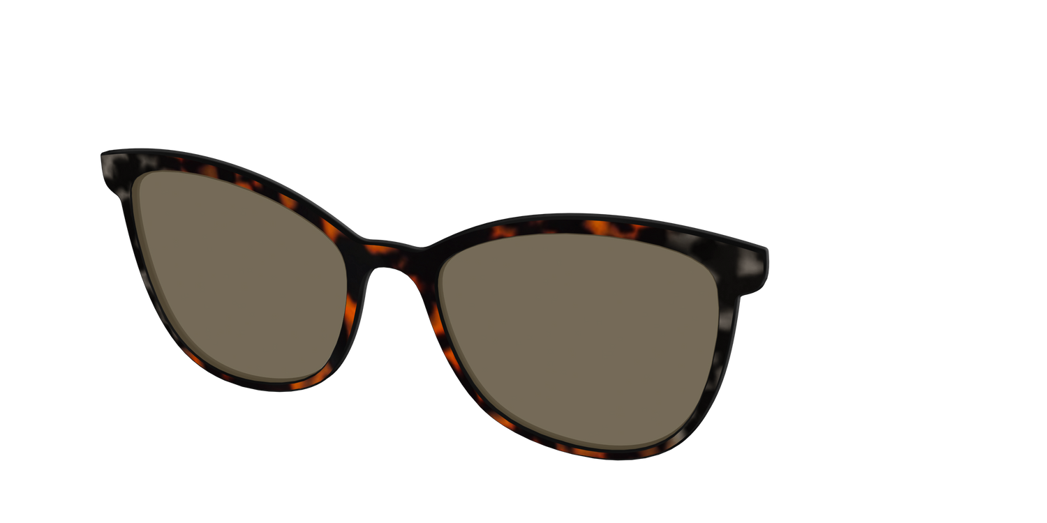 The Polarized Gray & Amber Tortoise Sun Top - Angle Top Image - Pair Eyewear