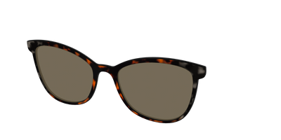 The Polarized Gray & Amber Tortoise Sun Top - Angle Top Thumbnail - Pair Eyewear