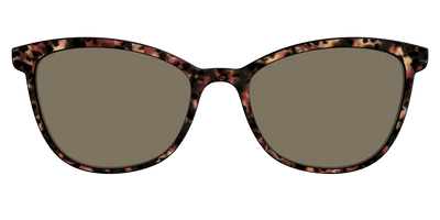 The Polarized Sienna Tortoise Sun Top - Front Top Thumbnail - Pair Eyewear