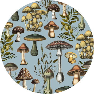 The Ditsy Blooms