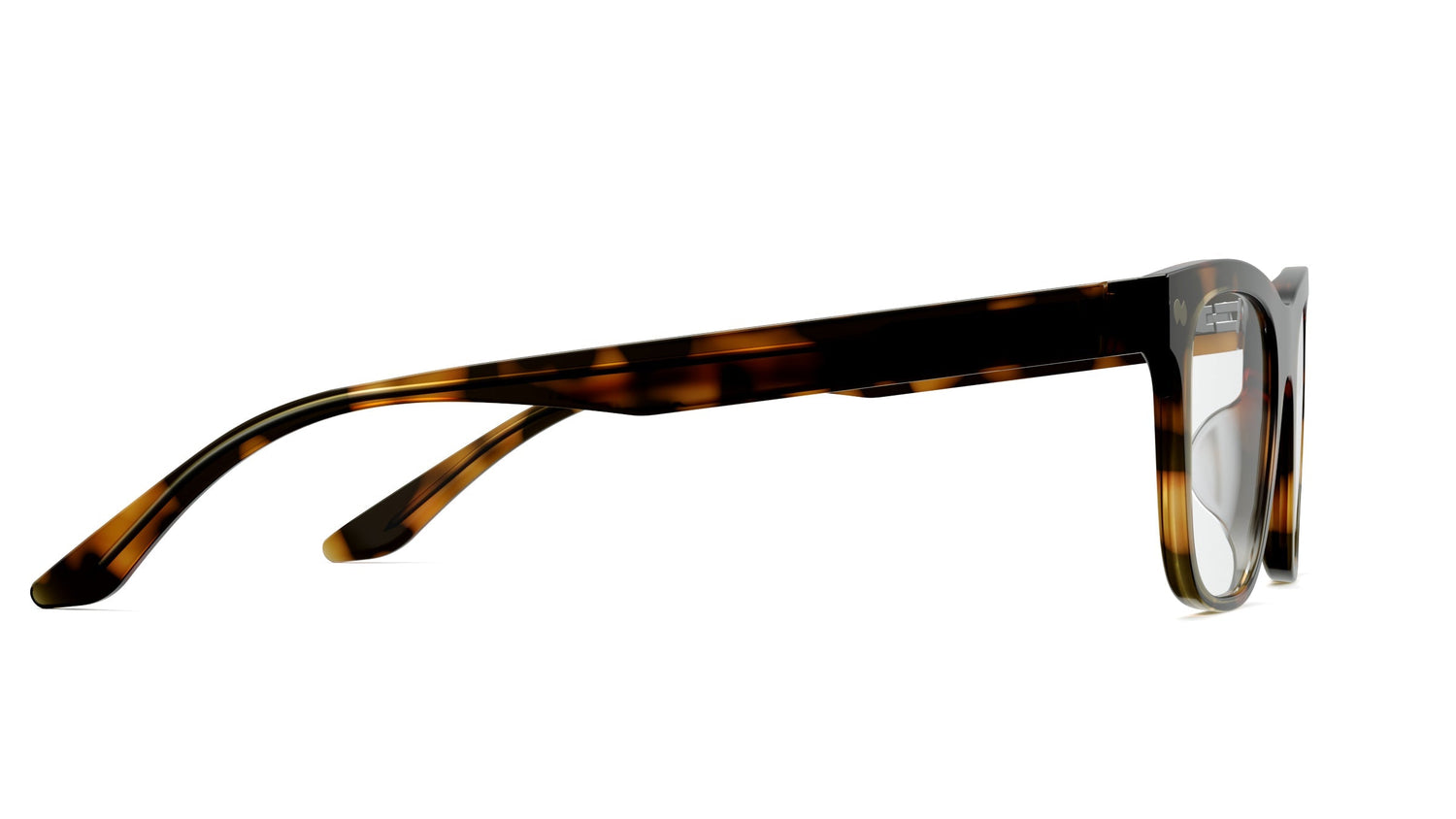 The Jessie - Tortoise - Carousel3 - Pair Eyewear