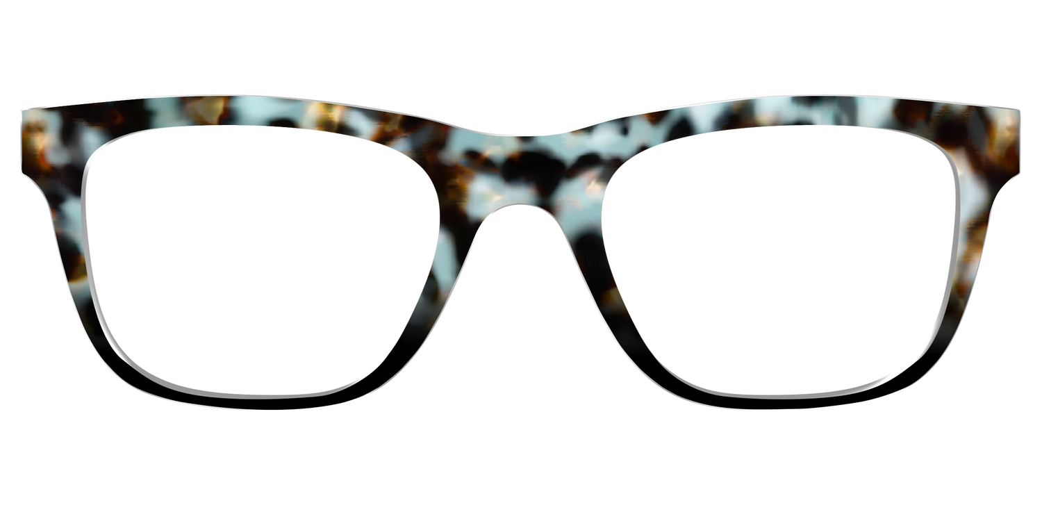 The Academic Tortoise - Front Top Image - Pair Eyewear