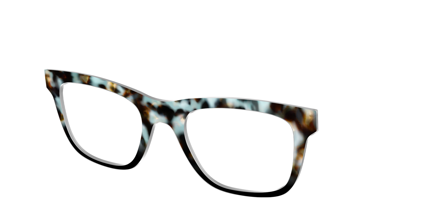 The Academic Tortoise - Angle Top Image - Pair Eyewear