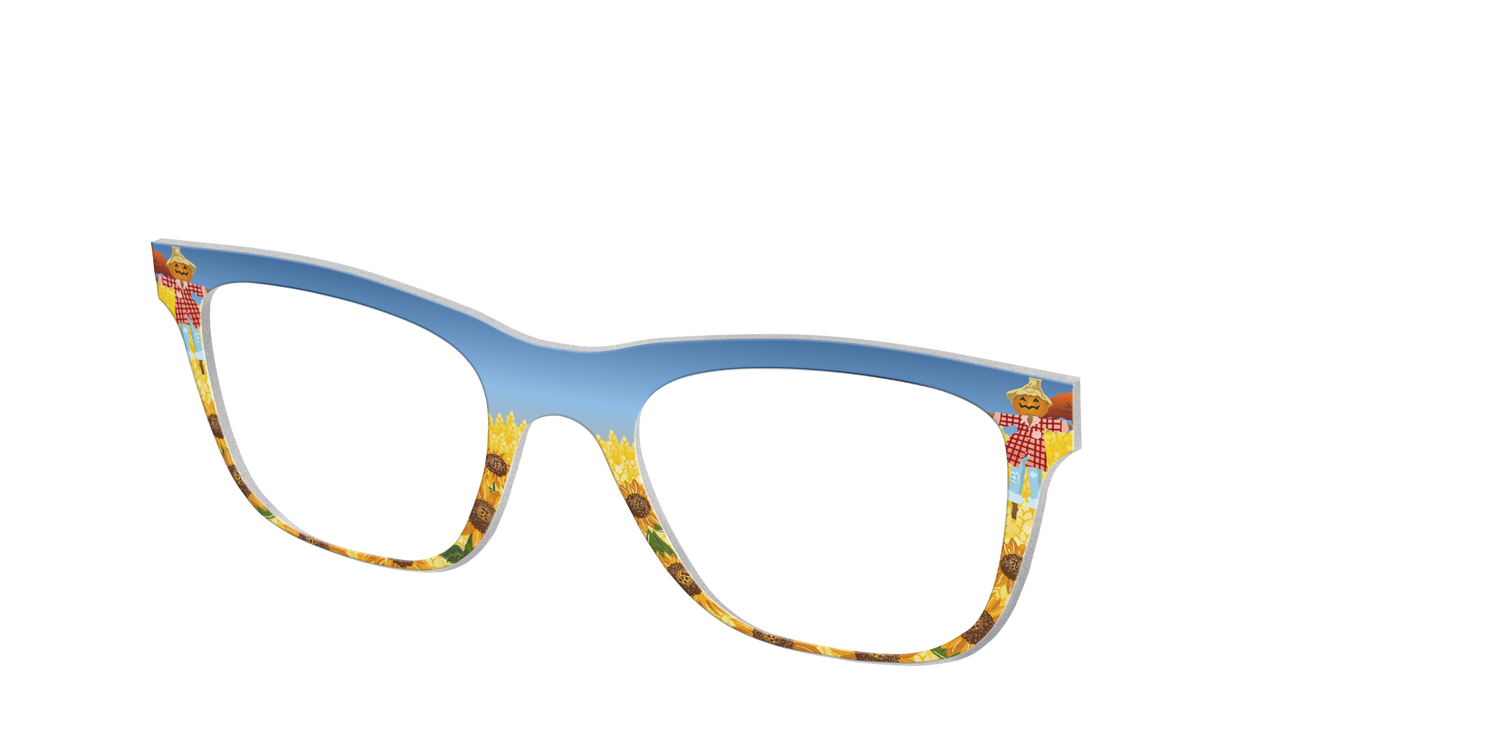 The Joyful Scarecrow - Angle Top Image - Pair Eyewear