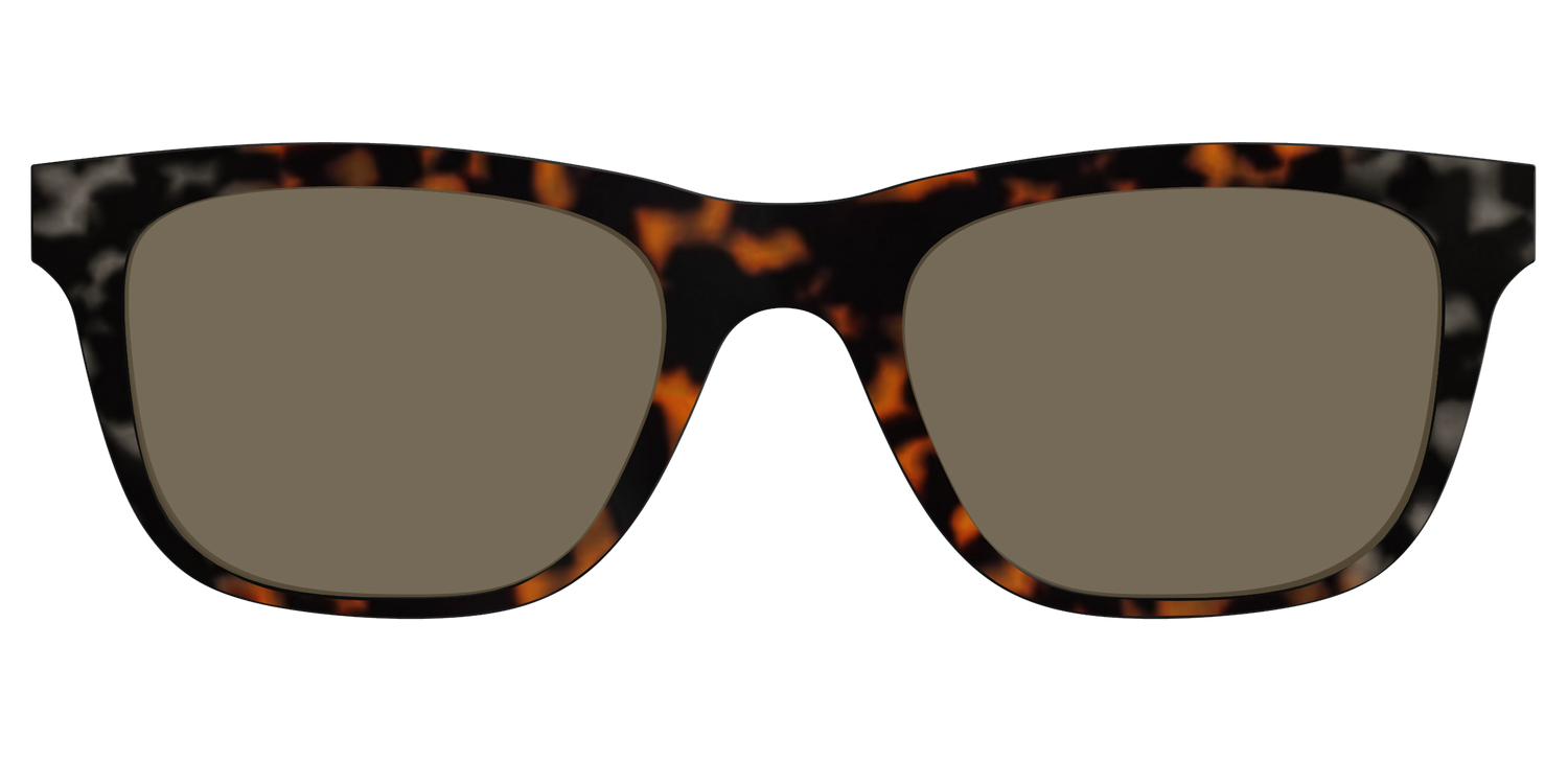 The Polarized Gray & Amber Tortoise Sun Top - Front Top Image - Pair Eyewear