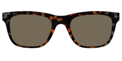 The Polarized Gray & Amber Tortoise Sun Top - Front Top Thumbnail - Pair Eyewear
