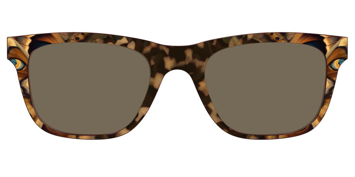 The Polarized Moth Wings Sun Top - Front Top Image - Pair Eyewear