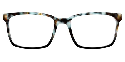 The Academic Tortoise - Front Top Thumbnail - Pair Eyewear