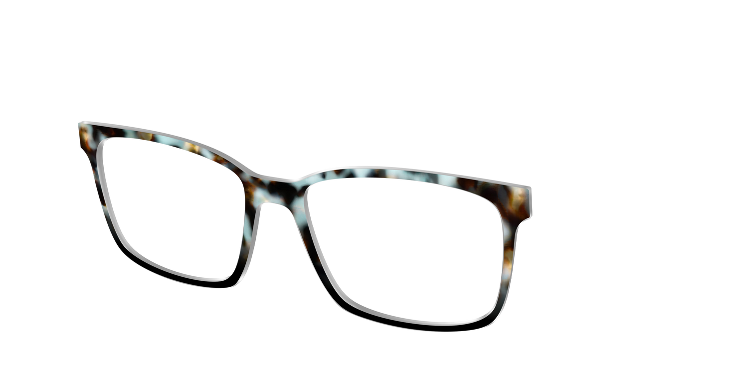 The Academic Tortoise - Angle Top Image - Pair Eyewear