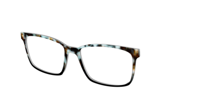 The Academic Tortoise - Angle Top Thumbnail - Pair Eyewear