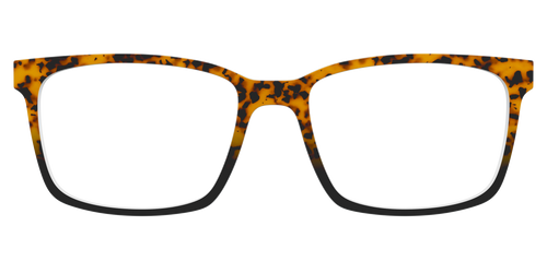 The Amber Tort - Kirby Top - Pair Eyewear