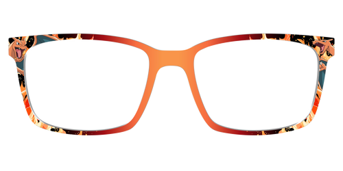 Charizard - Kirby Top - Pair Eyewear