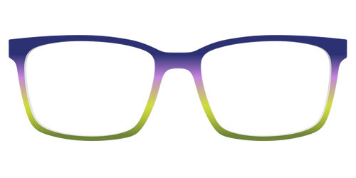 The Everglade Gradient - Kirby Top - Pair Eyewear