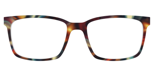 The Fool's Paradise - Kirby Top - Pair Eyewear