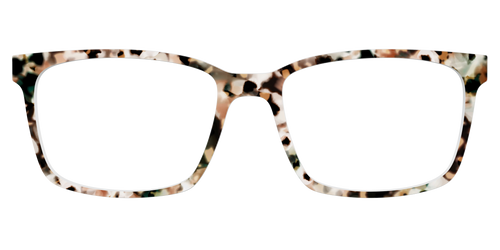 The Fortress Tortoise - Kirby Top - Pair Eyewear
