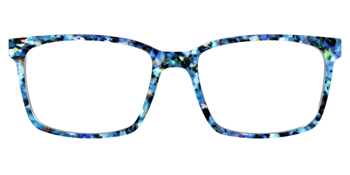 The Freshwater Tortoise - Kirby Top - Pair Eyewear