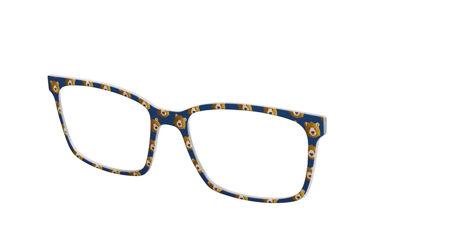 The Grizzly Bears - Angle Top Image - Pair Eyewear