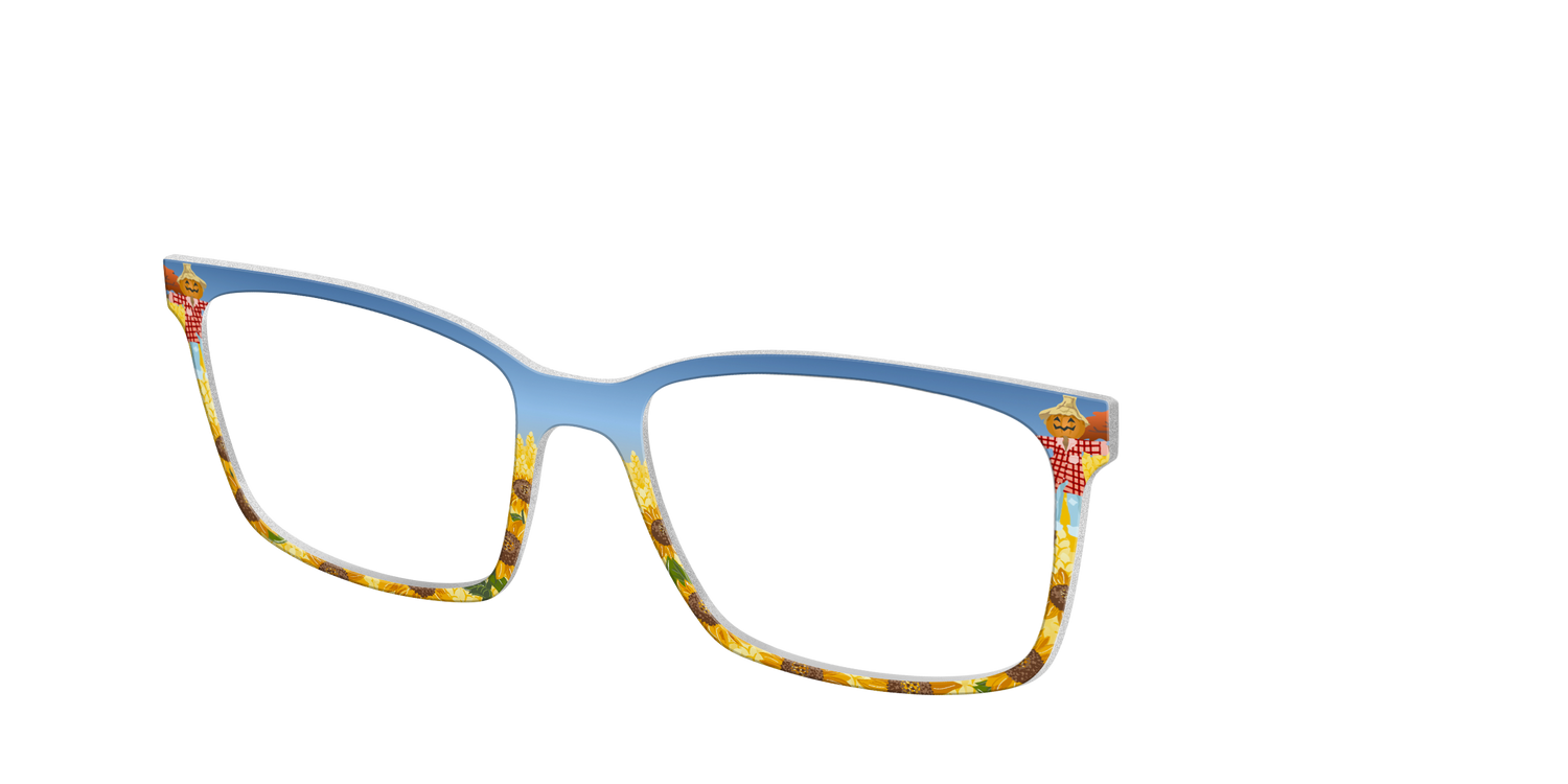 The Joyful Scarecrow - Angle Top Image - Pair Eyewear