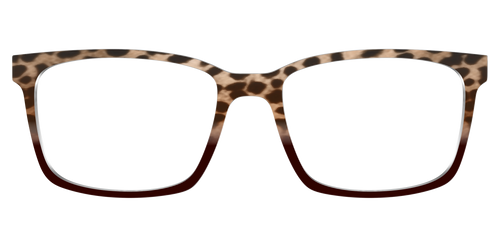 The Jungle Cat Tortoise - Kirby Top - Pair Eyewear