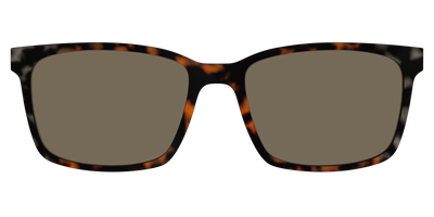 The Polarized Gray & Amber Tortoise Sun Top - Front Top Thumbnail - Pair Eyewear