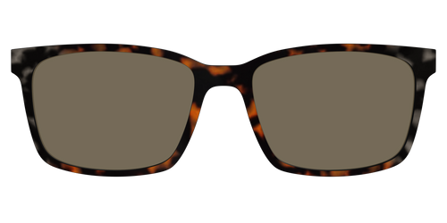 The Polarized Gray & Amber Tortoise Sun Top - Kirby Top - Pair Eyewear
