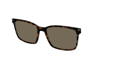 The Polarized Gray & Amber Tortoise Sun Top - Angle Top Thumbnail - Pair Eyewear