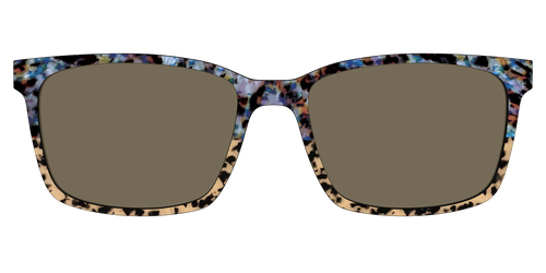 The Polarized Oasis Tortoise Split Sun Top - Kirby Top - Pair Eyewear