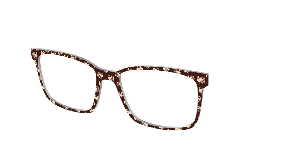 The Simple Turkeys - Angle Top Image - Pair Eyewear