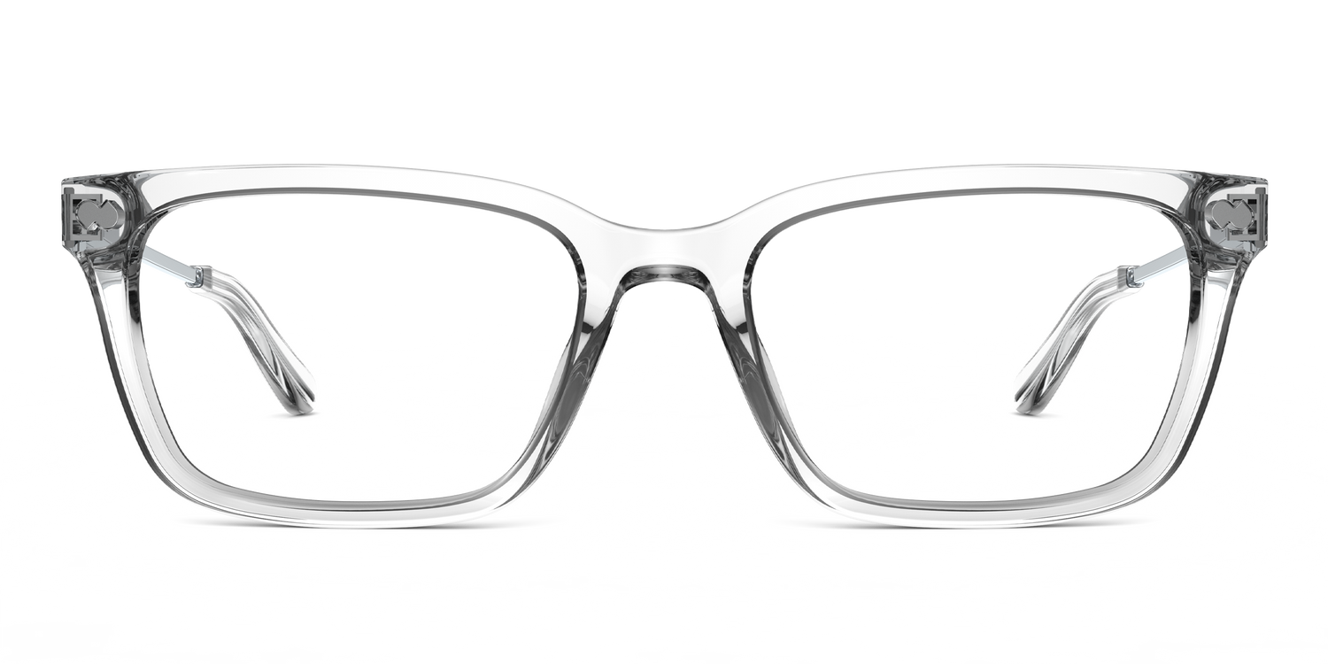 The Larkin - Crystal Clear Acetate Silver Metal - Carousel11 - Pair Eyewear