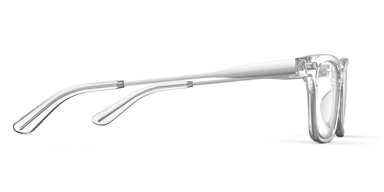 The Larkin - Crystal Clear Acetate Silver Metal - Carousel13 - Pair Eyewear