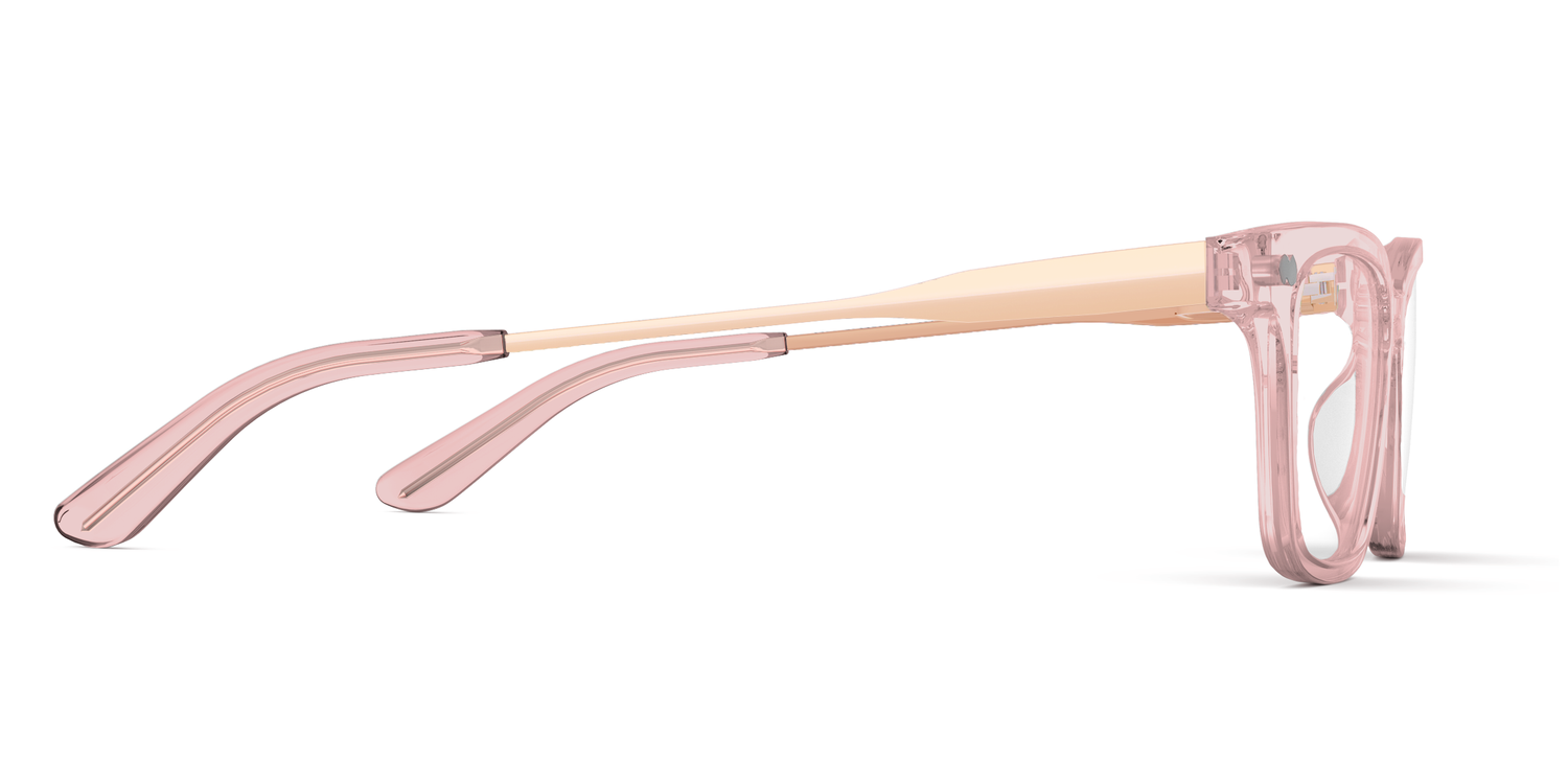 The Larkin - Pink Clear Acetate Rose Gold Metal - Carousel3 - Pair Eyewear